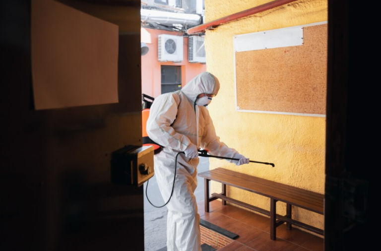 From Chaos to Calm: Navigating Water Damage Restoration and Mold Removal